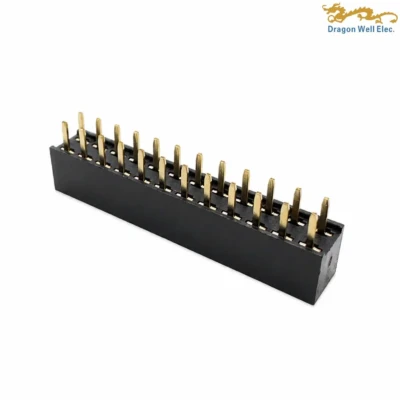 2.54mm 2x12 24-Pin Dual Row Vertical Through-Hole Female Header